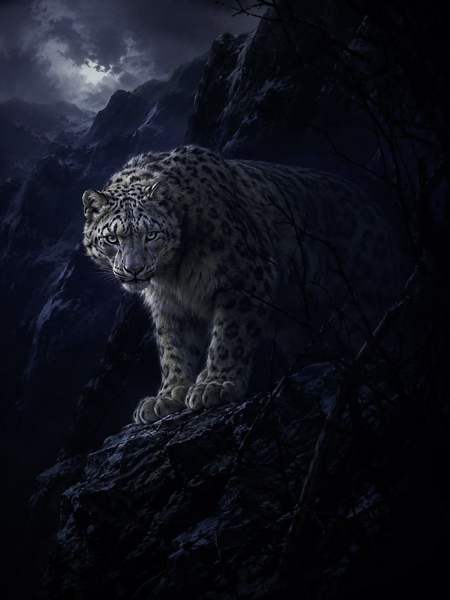 Any idea, sentence or photo comes back as one dark, moody digital painting. A single lit focal zone, a near-black field, and a boundary like shadow or glass…
